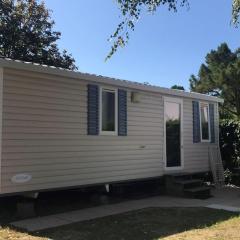 Mobil home avec terrasse à Saint-Jean-de-Monts - API-1-52-1095