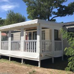 Mobil-home de 40m² pour 8 personnes avec rampe d'accès - API-1-52-1083