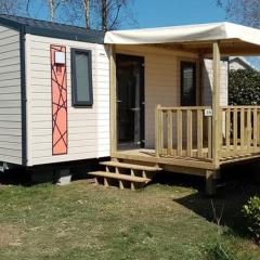 Mobil-home confortable avec terrasse à Tréguennec - API-1-52-1091