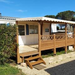 Mobil home avec Terrasse à Roquebrune-sur-Argens - API-1-52-1106