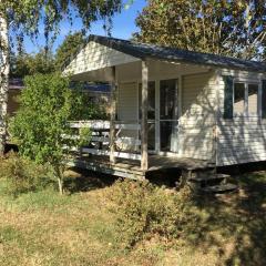 Mobil home confortable avec terrasse - API-1-52-1115