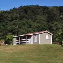 Chalet 40m² pour 6 personnes avec Terrasse - API-1-52-1154