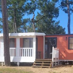 Mobil home avec terrasse - 3 chambres, cuisine équipée - API-1-52-1179