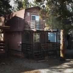 Cozy Cabin Among The Pines