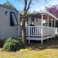 Mobil home confortable avec terrasse pour 6 - API-1-52-1194