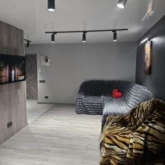 2комнатная люкс на Небесной сотни