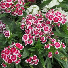 Hof Kaune Comfortable Holiday Residence