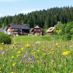 2-room holiday apartment in Landhaus Anja