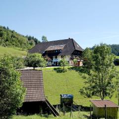 Rinkenbachhof Modern retreat
