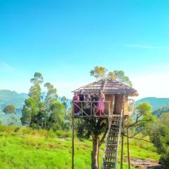 Honeyrock Farm Resort by Skybz