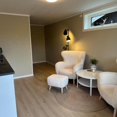 Modern studio apartment with wood-fired sauna