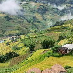 Mu Cang Chai Big view homestay, tour & vegetarian