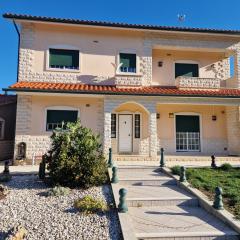 Rosa firmeza de arega