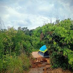 Curiango Birding Camp