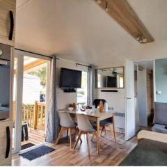 Les Pins Dorés- F125S - Clim- Animaux- Camping 4