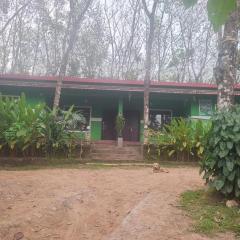 Green Wayanad Homestay