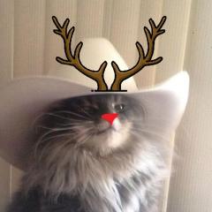 TRYP by Wyndham Dubai