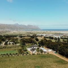 13 Olives, Entire Grape & Olive Estate, Somerset West by Euphoric Leisure