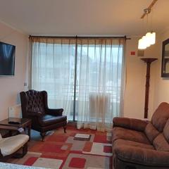 Viña del Mar Department