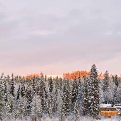 Riverfront Aurora Chalet