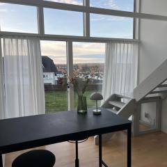 Schweden Chalet, Haus 1