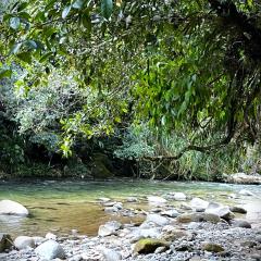 Posadas entre el Bosque-Manacus