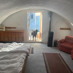 Cozy 100-year-old granary with a stove and goats