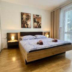 Black Lotus 1 I Downtown Apartment I Free Parking I 24hr Access