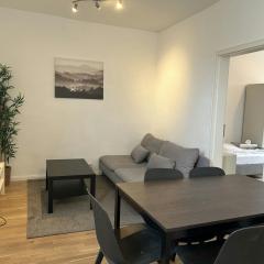 Central and Spacious Apartment for 5