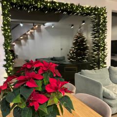 Willa Horyzont Borsk