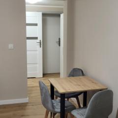 Pokoje Gościnne Karpacka 17 prywatne łazienki parking