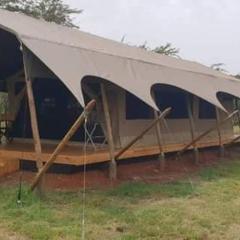 Summit Scape Adventures Safaris Limited