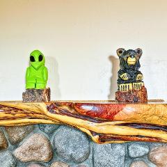 National Forest Retreat AZ White Mtn Escape Cabin Design Spacious Condo By Vacation Your Way