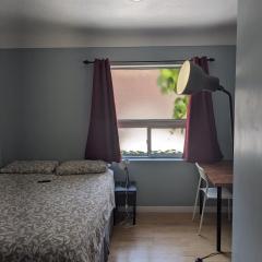 Private Room In Central Hamilton