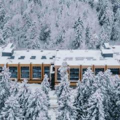 Premium Ski Retreat - Steps from Kokhta Gora