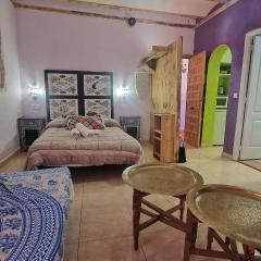 My Andalusian Passion Mi Pasion Andalusi