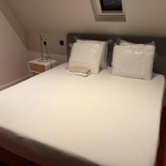 Picturesque mansion with garden in Tongeren