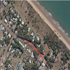 Pandanus By the Beach