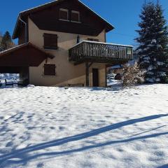Chalet familial Vosges avec baby-foot et animaux admis - FR-1-589-688