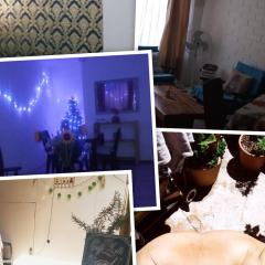 Alojamiento rústico