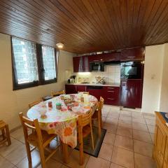 Appartement spacieux 6 pers. proche pistes - FR-1-358-321