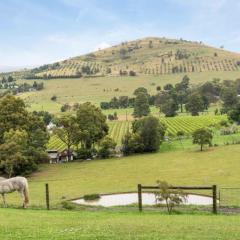 An Unforgettable View