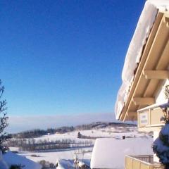 Haus Paradies Superior FEWO`S Loft, Terrasse, private Sauna, aktiv Card, Sankt Englmar