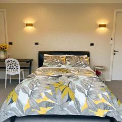 独立出入,专属卫浴 阳光舒适大床房