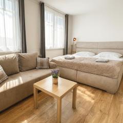 Smarty Choice Living with FREE PARKING - Vondroušova