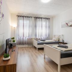 FLEX Aparts - möblierte Wohnung in Zwickau