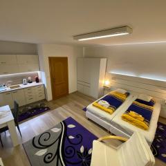 Apartmán Hollého 2