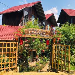 Lavender Homestay Măng Đen