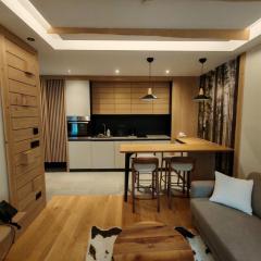 Apartman 601 Ema Montera