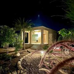 ARANYA JAWAI - A Nature Stay